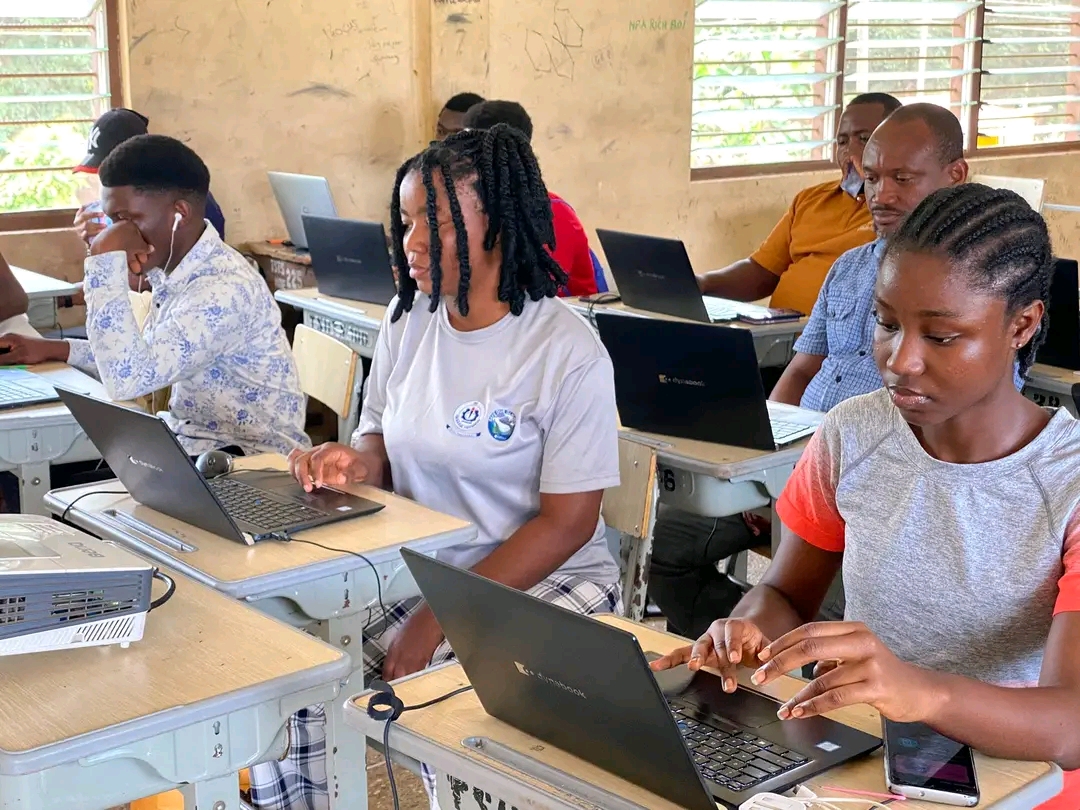 picture of what we do